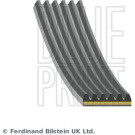 Blue Print | Keilrippenriemen | AD06A1822