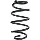 Spidan | Fahrwerksfeder | 87597