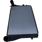 AC695060 Ladeluftkühler