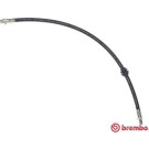 Brembo | Bremsschlauch | T 06 046