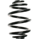 Spidan | Fahrwerksfeder | 56971