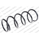 4062068 Fahrwerksfeder