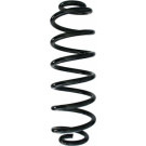 Spidan | Fahrwerksfeder | 87176