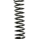 Spidan | Fahrwerksfeder | 48023