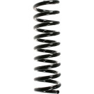 Spidan | Fahrwerksfeder | 55740