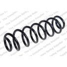 4295133 Fahrwerksfeder