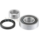 R179.22 Radlagersatz