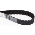 CT1038 Zahnriemen CT1038 Zahnriemen