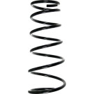 Spidan | Fahrwerksfeder | 55697