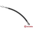 Brembo | Bremsschlauch | T 49 053