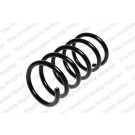 4295825 Fahrwerksfeder