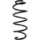Spidan | Fahrwerksfeder | 87986