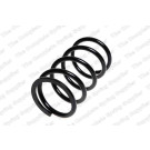 4292614 Fahrwerksfeder