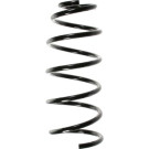 Spidan | Fahrwerksfeder | 49551