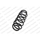 4295073 Fahrwerksfeder