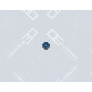 OE Germany | Dichtring, Ventilschaft | 01 3006 900000