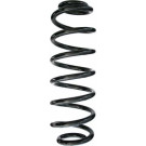 Spidan | Fahrwerksfeder | 86490