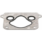 Elring | Dichtung, Ladeluftkühler | 898.580