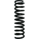 Spidan | Fahrwerksfeder | 48673