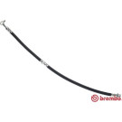 Brembo | Bremsschlauch | T 56 174