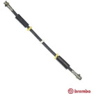 Brembo | Bremsschlauch | T 23 016