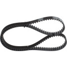 1 987 949 648 Zahnriemen 1 987 949 648 Zahnriemen