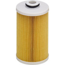 Hengst Filter | Kraftstofffilter | E490KP D484