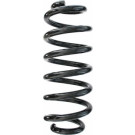 Spidan | Fahrwerksfeder | 87347