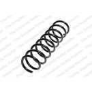 4208448 Fahrwerksfeder