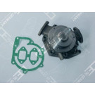 OE Germany | Wasserpumpe, Motorkühlung | 01 2000 355000