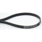 ContiTech | Keilrippenriemen | 5PK1125