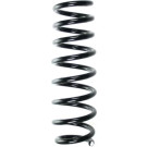 Spidan | Fahrwerksfeder | 56821