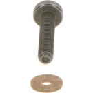 BOSCH | Schraube | F 00N 202 193