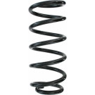 Spidan | Fahrwerksfeder | 87203