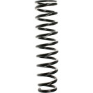 Spidan | Fahrwerksfeder | 55380