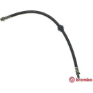 Brembo | Bremsschlauch | T 68 037