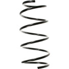 Spidan | Fahrwerksfeder | 49163