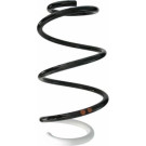 Spidan | Fahrwerksfeder | 87876