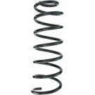 Spidan | Fahrwerksfeder | 87376