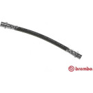 Brembo | Bremsschlauch | T 85 067