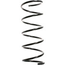 Spidan | Fahrwerksfeder | 55134