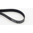 7PK1165 Keilrippenriemen