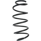 Spidan | Fahrwerksfeder | 55309