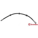 Brembo | Bremsschlauch | T 85 107