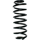 Spidan | Fahrwerksfeder | 55101