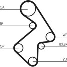 CT998 Zahnriemen CT998 Zahnriemen