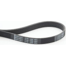 ContiTech | Keilrippenriemen | 6PK1205