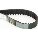 CT1012 Zahnriemen CT1012 Zahnriemen