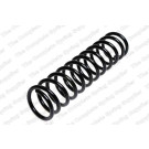 4204206 Fahrwerksfeder