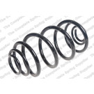 5263460 Fahrwerksfeder